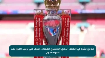 ملامح مثيرة في انطلاق الدوري الإنجليزي الممتاز.. تعرف على ترتيب الفرق بعد الجولة الأولى